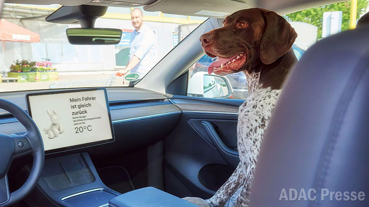 La Modalità Cane di Tesla funziona davvero? Ecco cosa dice il test eseguito in Germania