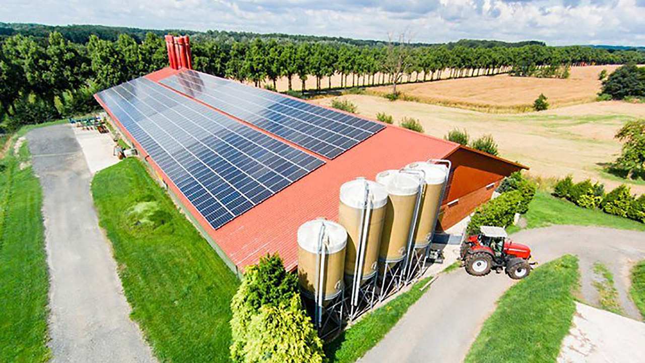 Hai un'azienda agricola? Il Ministero ti paga il fotovoltaico fino al 70%, a fondo perduto