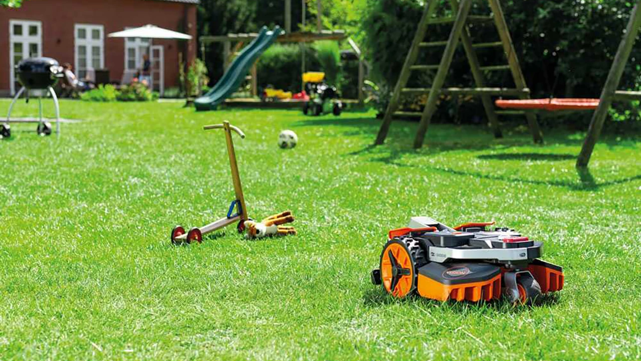 Fine estate in giardino: le proposte scontate per chiudere la stagione senza stress