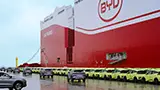 Strapotere BYD: due nuove navi che portano un esercito di Dolphin Surf in Europa