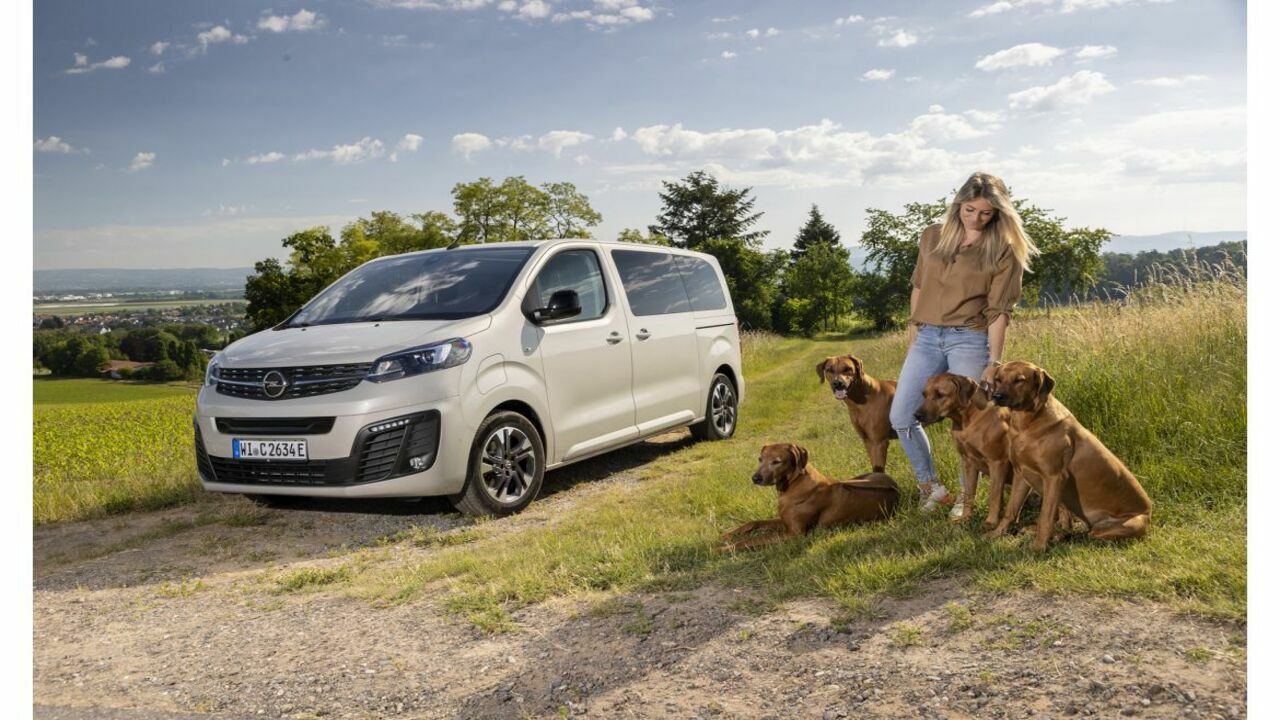 Opel crea l'auto da sogno per i quattro zampe: la nuova Zafira è lelettrica a prova di cane