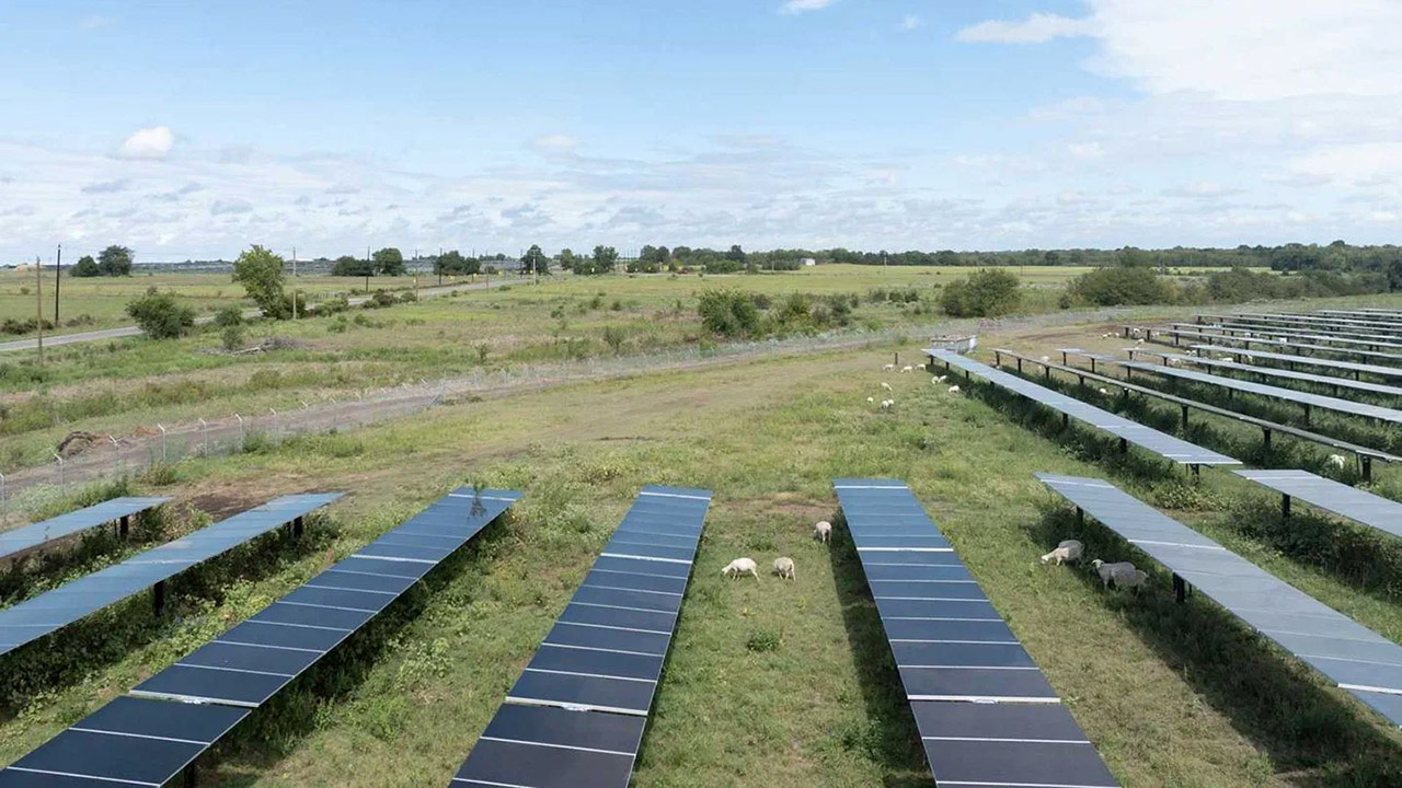 Il fotovoltaico preoccupa la provincia di Alessandria: in alcuni comuni occupato il 4% del terriorio