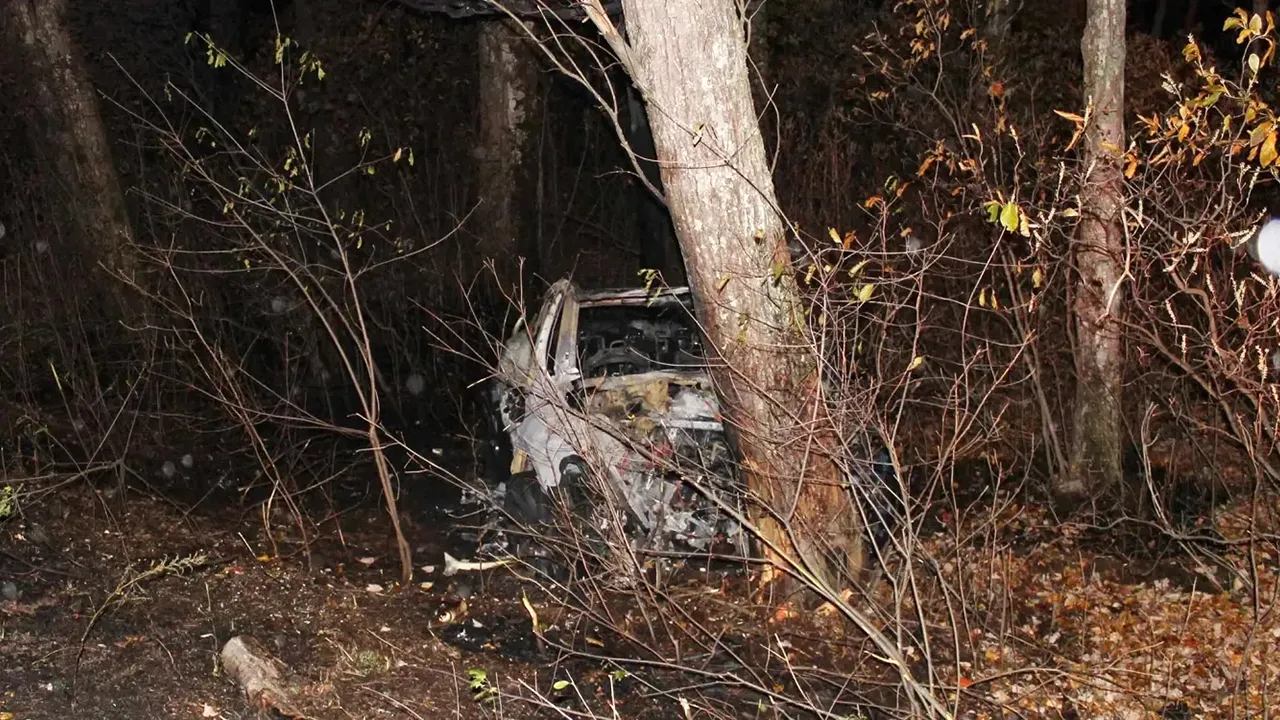 Nuova causa contro Tesla e maniglie elettroniche: morto un giovane americano