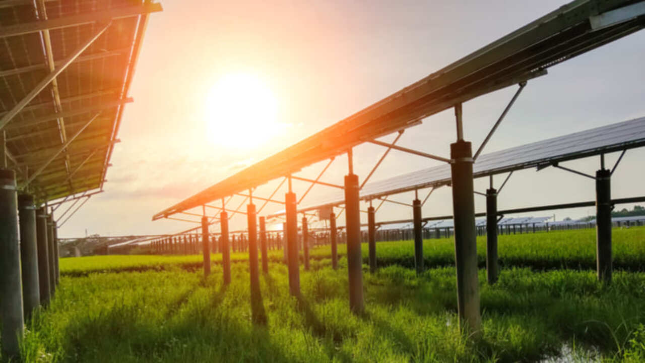 Uva di qualità ed energia elettrica: la Spagna testa l'agrivoltaico con ottimi risultati