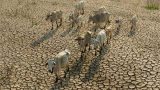 Cambiamento climatico, Italia tra i Paesi pi colpiti: oltre 38mila vittime in 30 anni