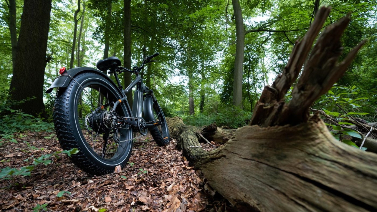 Rad Power svela la sua nuova bici elettrica top di gamma, la RadRhino 6 Plus