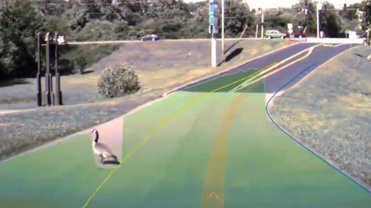 Tesla Autopilot e gli animali in strada: ecco cosa vede il sistema quando ne incontra uno