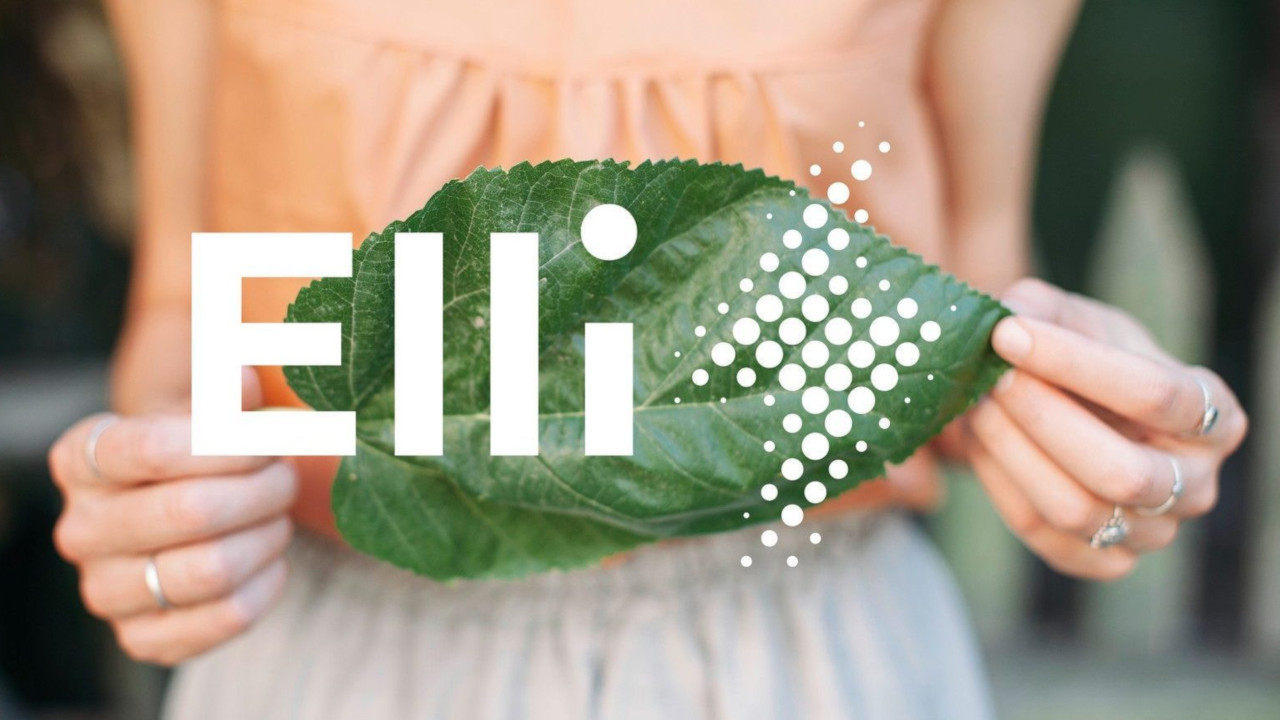 Volkswagen Elli: divisione a sostegno di tutti gli aspetti di contorno alla mobilità elettrica